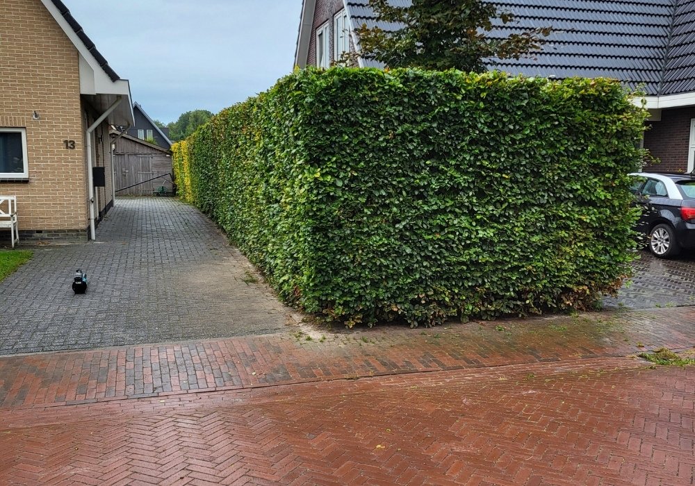 Heggen snoeien en onderhouden