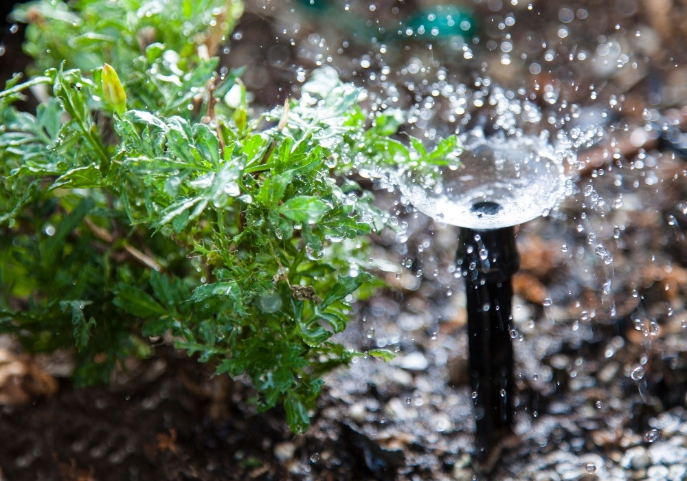 Tuinberegeningssysteem laten plaatsen