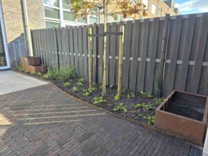 Achtertuin in Sneek met cortenstalen randen en nieuwe beplanting
